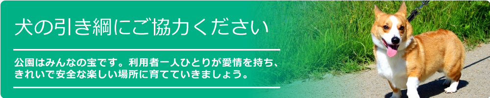 お願い：犬の引き綱にご協力を