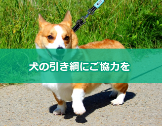 犬の引き綱にご協力を