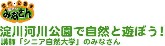 淀川河川公園で自然と遊ぼう！