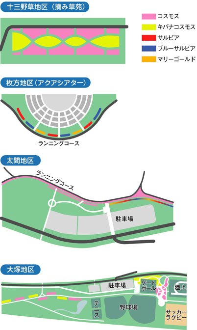 各地区の開花状況