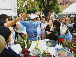 植木市のイメージ写真