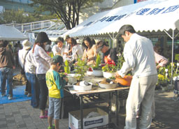 植木市の様子