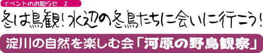  冬は鳥観！水辺の鳥たちに会いに行こう！