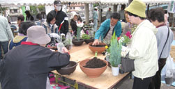 植木市の様子