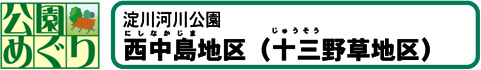 西中島地区（十三野草地区）