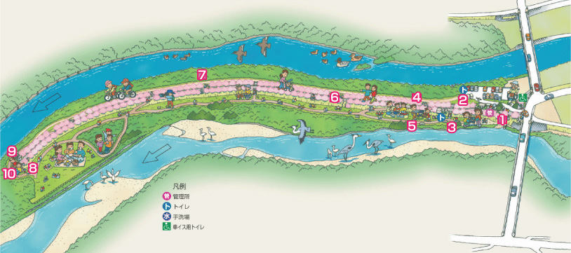 淀川河川公園　背割堤地区　MAP