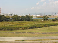 八雲地区・八雲野草地区・庭窪河畔地区の写真