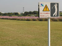 八雲地区・八雲野草地区・庭窪河畔地区の写真