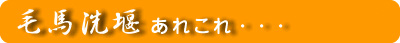 毛馬洗堰あれこれ