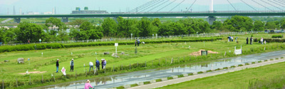 仁和寺野草地区・（点野野草地区）の写真