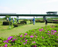 仁和寺野草地区・（点野野草地区）の写真