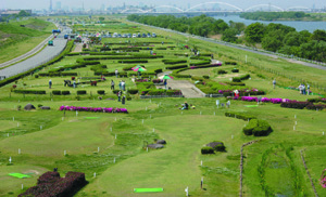 仁和寺野草地区・（点野野草地区）の写真