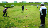 仁和寺野草地区・（点野野草地区）の写真