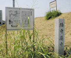 太子橋地区の写真