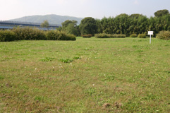 大山崎地区の写真