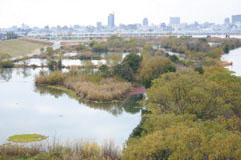 城北河畔地区の写真