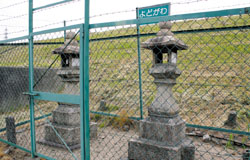 一津屋野草地区・一津屋河畔地区・鳥飼西地区・鳥飼野草地区の写真