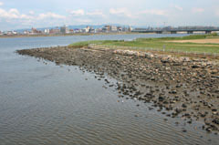 海老江地区・大淀野草地区の写真