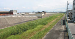 海老江地区・大淀野草地区の写真