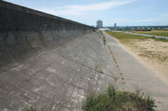 海老江地区・大淀野草地区の写真