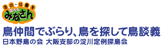 鳥仲間でぶらり、鳥を探して鳥談義　日本野鳥の会大阪支部の淀川定例探鳥会