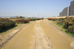 外島・守口地区の写真