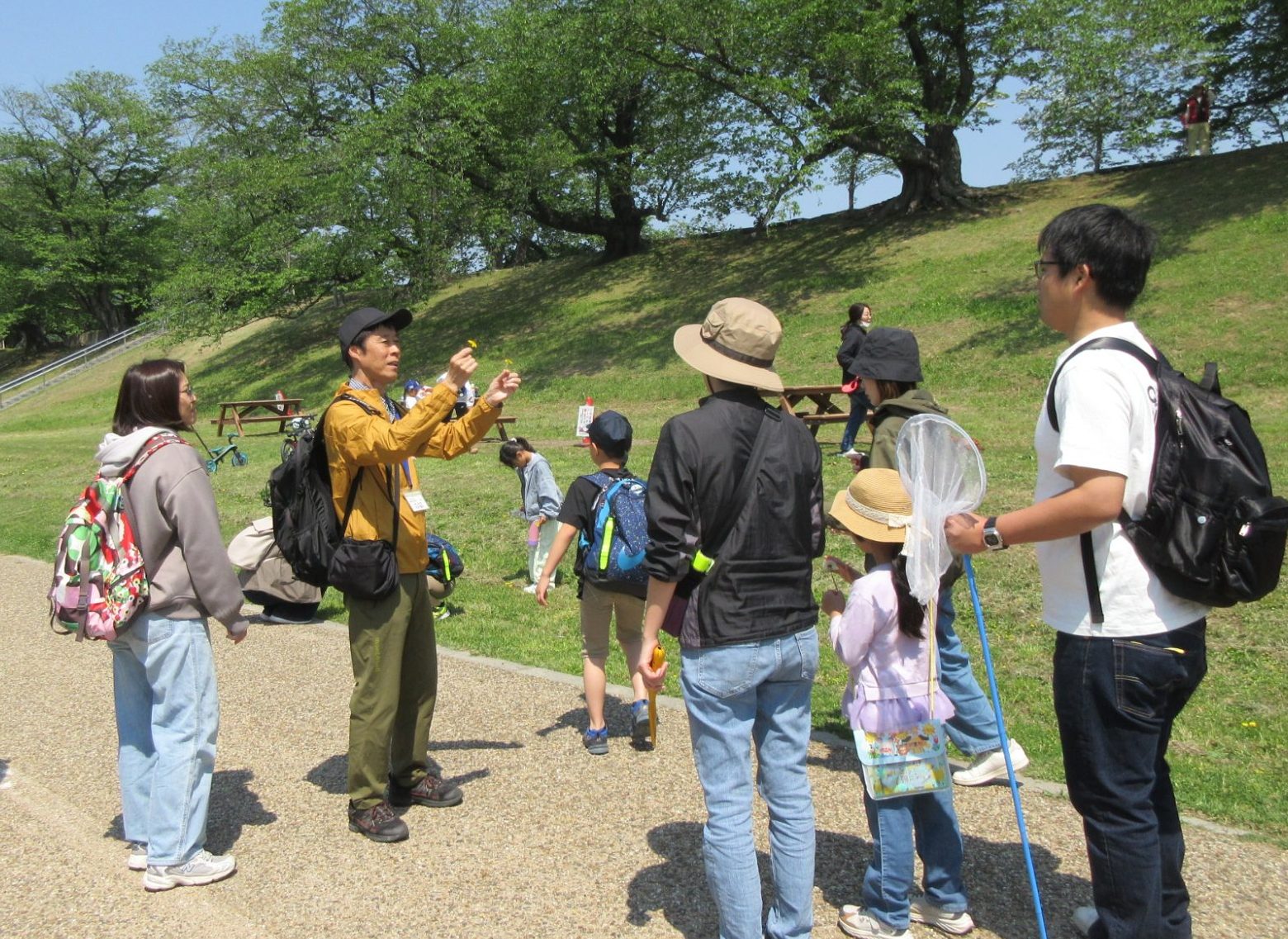 【さくらであい館】春の野草教室