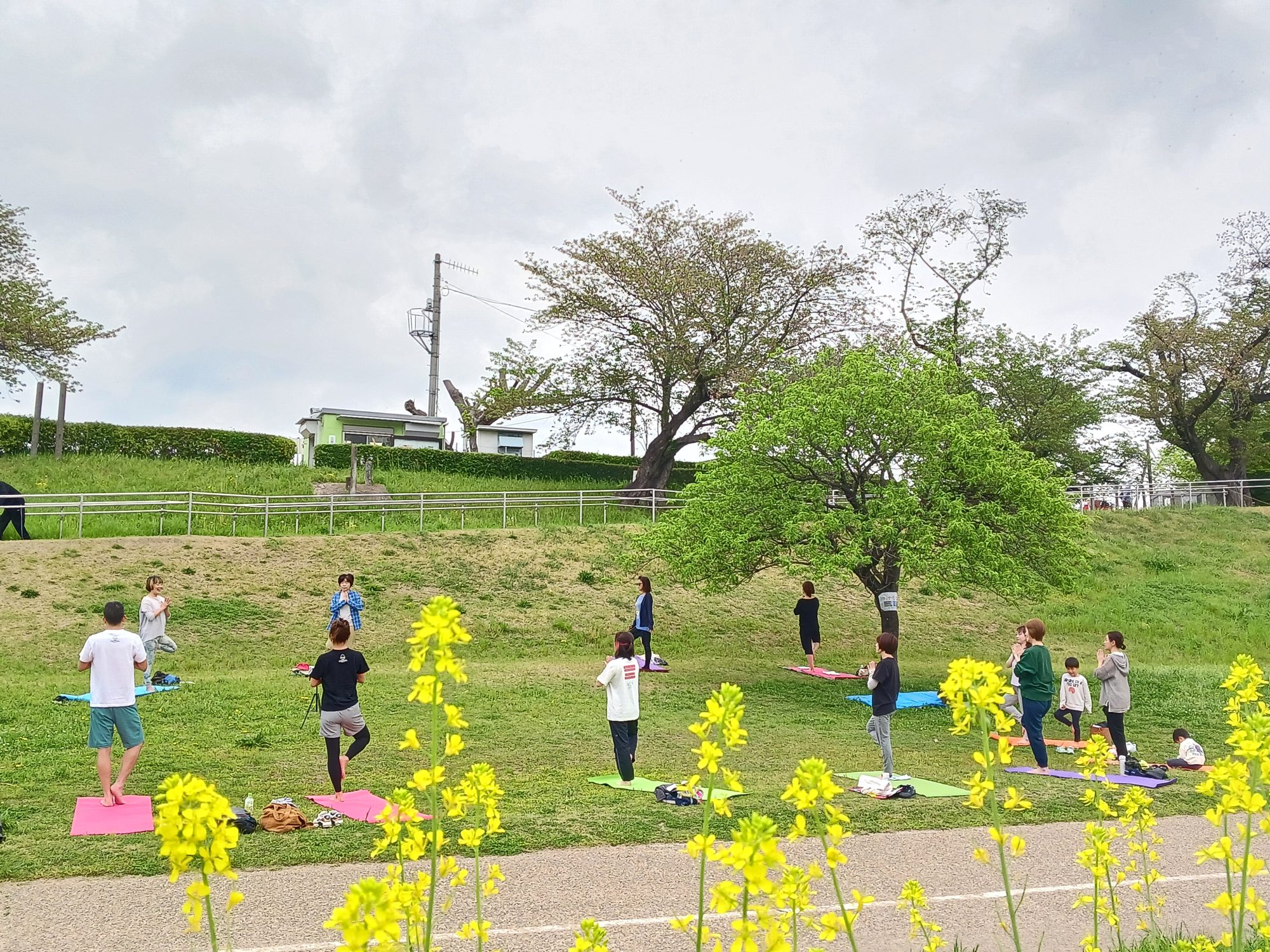 おはよーが【令和8年度分(2026年4月～2027年3月)】