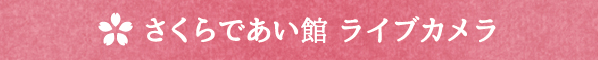 さくらであい館ライブカメラ