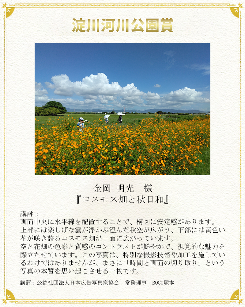 淀川河川公園賞
      金岡明光　様	『コスモス畑と秋日和』