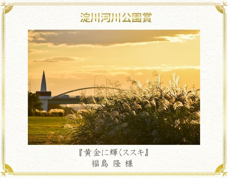 淀川河川公園賞

福島　隆　様 	『黄金に輝くススキ』