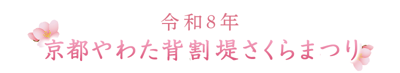 京都やわた背割堤さくらまつり
